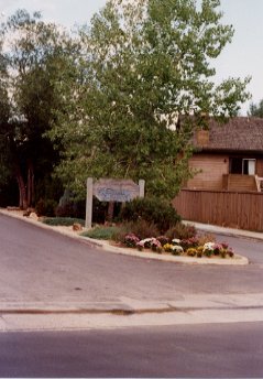 Entry Island