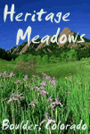 Meadow Scene